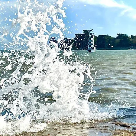 Les Pieds Dans L'eau *